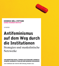 Buchcover "Antifeminismus auf dem Weg durch die Institutionen"